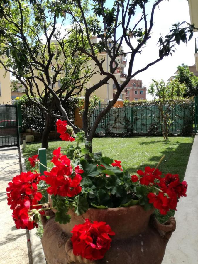 Angolo Sul Giardino