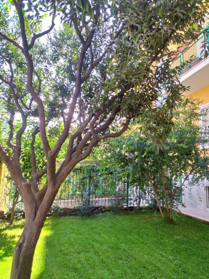Angolo Sul Giardino Guest house